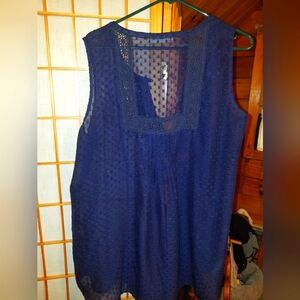 Daniel Rainn sheer blouse